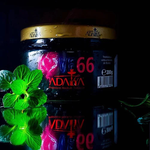 Adalya Love 66 - 最も人気のある水タバコのフレーバーに関する究極の