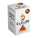 CocoUS Natural Hookah Coals 25 mm -