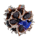 Sapphire Crown Dried Plum Hookah Flavor -