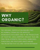 Gardenika Green Lemon Ginseng Tea, Loose Leaf, USDA Organic, 55+ Cups – 4 Oz (113g) -