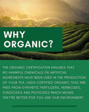 Gardenika Tulsi Spicy Green Tea, Loose Leaf, USDA Organic, 55+ Cups – 4 Oz (113g) -