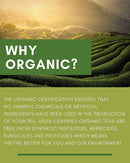 Gardenika Lemon Spearmint Herbal Tea, Loose Leaf, USDA Organic, Caffeine Free, 55+ Cups – 4 Oz (113g) -