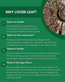 Gardenika Tulsi Spicy Green Tea, Loose Leaf, USDA Organic, 55+ Cups – 4 Oz (113g) -