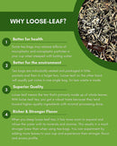 Gardenika Green Lemon Ginseng Tea, Loose Leaf, USDA Organic, 55+ Cups – 4 Oz (113g) -