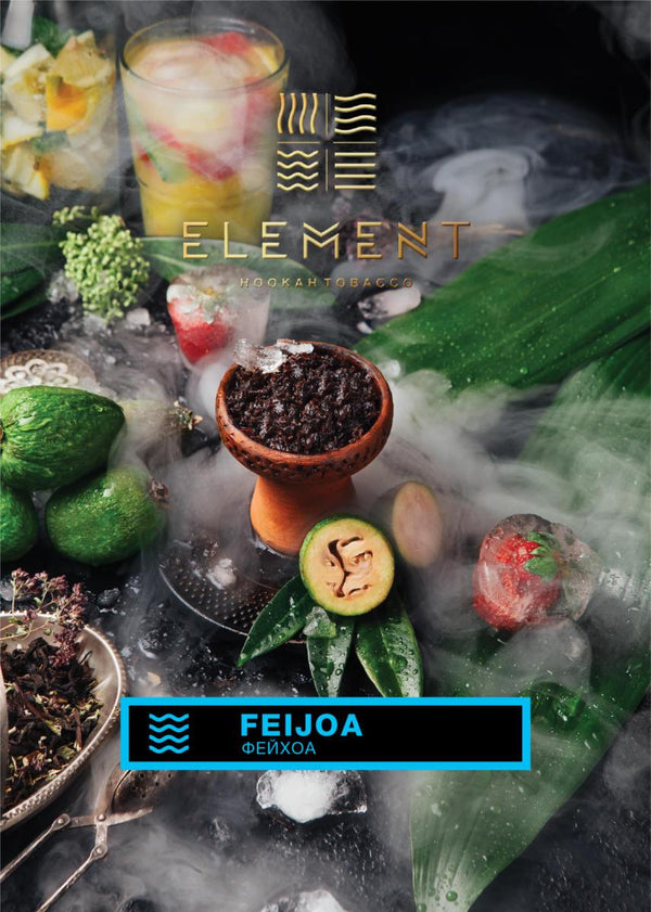 Element Water Line Feijoa Hookah Flavors - 