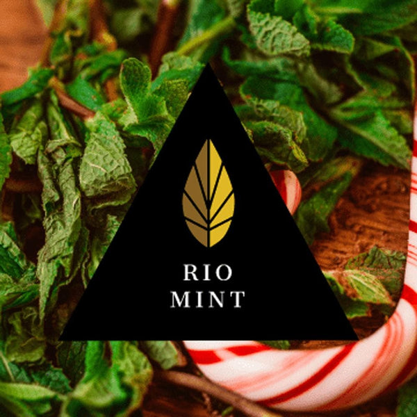 Azure Black Line Rio Mint Hookah Shisha Flavor - 