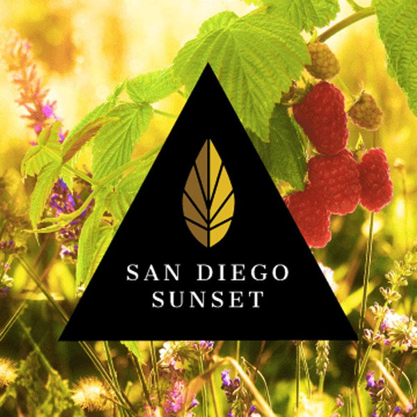 Azure Black Line San Diego Sunset Hookah Shisha Flavor - 