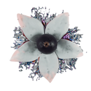 Sapphire Crown Bright Side Hookah Flavor -