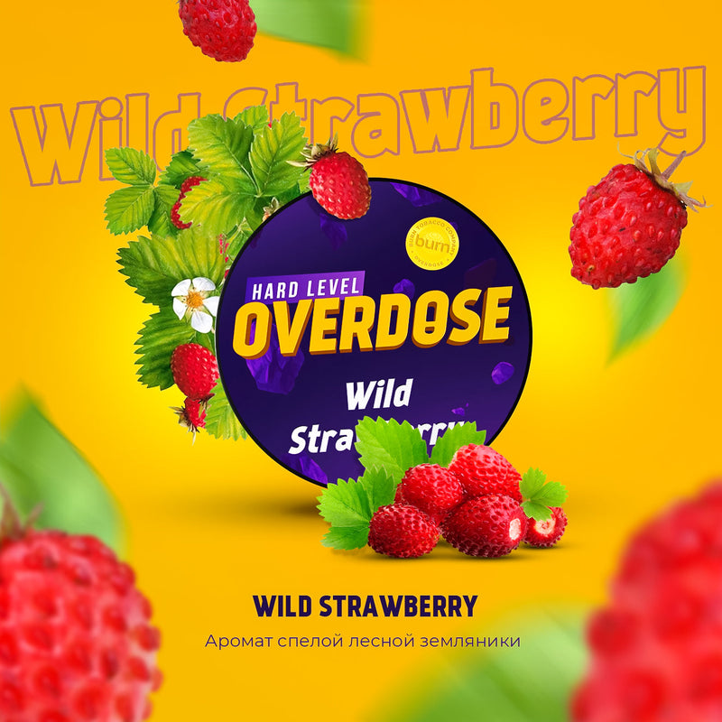 Overdose Wild Strawberry Hookah Flavors - 