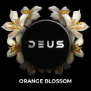 Deus Orange Blossom Hookah Shisha Tobacco -